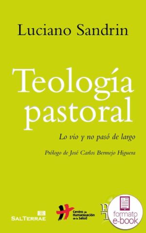 Teología pastoral. Lo vio y no pasó de largo.