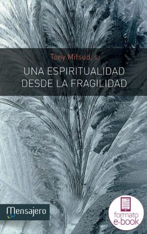 Una espiritualidad desde la fragilidad