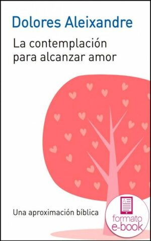 La contemplación para alcanzar el amor