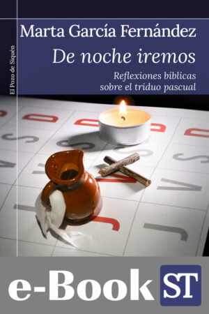 De noche iremos (Ebook)